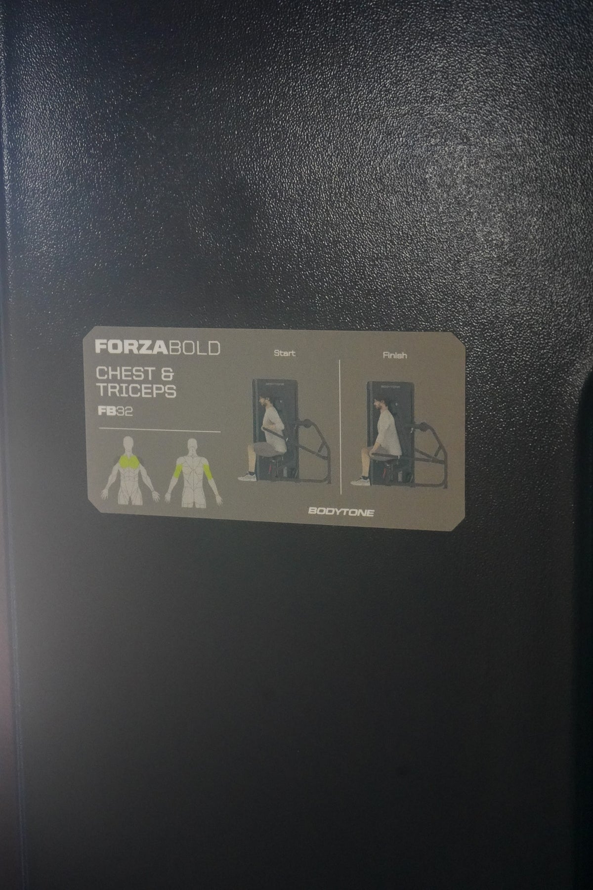 Forza Bold Chest and triceps
